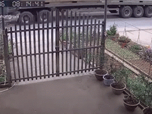 Video: Cố vượt container, xe máy bị ô tô chạy ngược chiều đâm trực diện