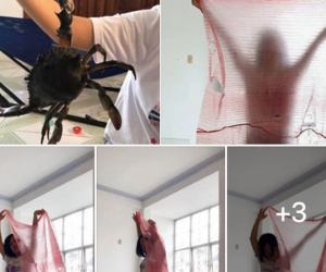 Trả giá được hẳn 20k để mua cua về ăn, anh chàng 'ngã ngửa' vì được khuyến mại thêm cả... cái áo mưa từ chiếc dây buộc cua
