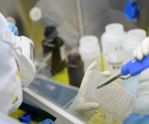 Cơ chế gây chết người của virus corona