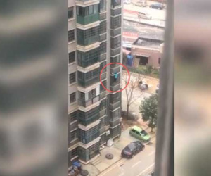 Video: Bị cách ly trong nhà, cụ bà 62 tuổi ở Vũ Hán trèo 8 tầng bỏ trốn