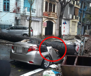 Ô tô bị cây đổ đè bẹp, biến dạng trong cơn mưa lớn ở Hà Nội