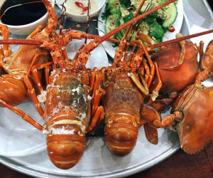 Mùa 'giải cứu' tôm hùm bạn nhớ đừng phạm sai lầm này khi ăn kẻo vừa mất hết chất bổ, vừa 'hạ độc' cơ thể nhanh khủng khiếp