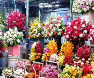 Hoa rớt giá thê thảm cận ngày 8/3 vẫn không ai mua