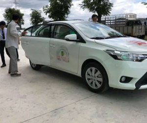Hơn 80 giáo viên dạy lái xe ở TP HCM xài giấy tờ giả để dạy học