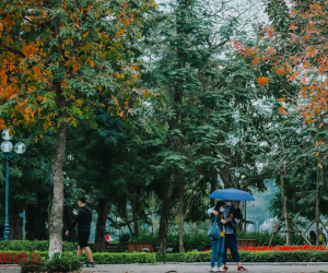 Hà Nội lãng mạn mùa cây thay lá
