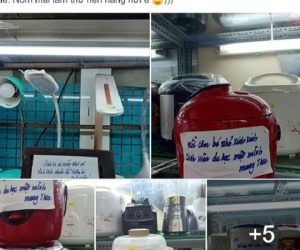 Khi trời sinh ra bạn để làm nhà thơ mà cuộc đời lại bắt đi bán đồ gia dụng...