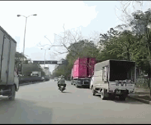 Video: Cây khô bật gốc, đổ trúng hai người đi xe máy