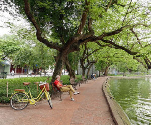 Dự báo thời tiết ngày 29/3: Bắc Bộ có mưa rào và có nơi có dông