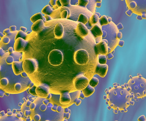 Virus SARS-CoV-2 có thể 'đã lây lan ở con người' hàng thập kỷ