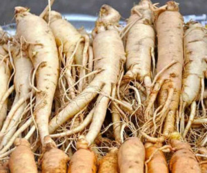 Những món ăn là sát thủ của lá phổi bạn cần tránh xa