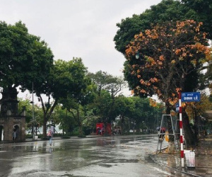 Dự báo thời tiết hôm nay ngày 1/4: Miền Bắc có mưa phùn, trời lạnh