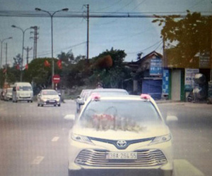 Xôn xao đoàn xe rước dâu 20 ôtô của con trai Phó giám đốc bệnh viện trong mùa dịch Covid-19