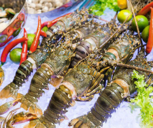 Hải sản trong nước giảm giá mạnh, có những loại chỉ thường xuất hiện ở nhà hàng giờ bán đầy chợ