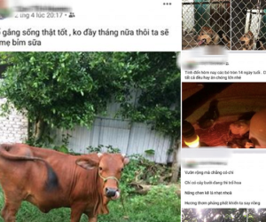 Cô gái khoe 'niềm vui tuổi già' khi mẹ dùng Facebook, đặc biệt nhất là nội dung những bài đăng của mẹ