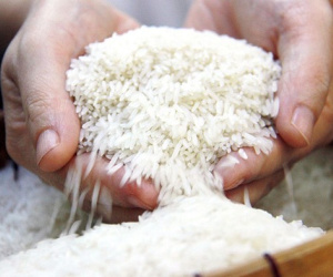 Mua gom gạo, thóc để đầu cơ có thể bị truy cứu trách nhiệm hình sự