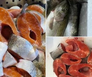 Cá hồi Sapa rẻ không thể tin được