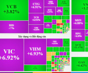 VN-Index xác lập phiên tăng kỷ lục kể từ năm 2001