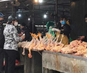 Gà, vịt đang rất rẻ, thịt lợn dần biến mất trên mâm cơm nhà tôi