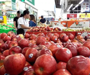 6,2 tỷ USD nhập khẩu nông, lâm, thủy sản trong quý I