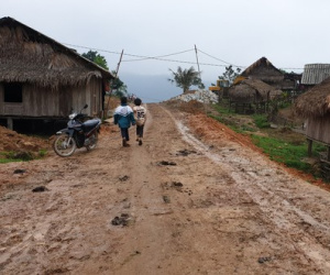 Sau khi xem ti vi, 20 người Mày ở Quảng Bình bỏ nhà vào rừng trốn... Covid-19