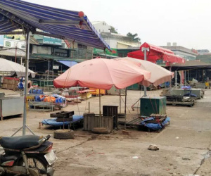 Chợ hoa Quảng Bá - nơi BN 243 từng đặt chân đến 7 lần trong tháng 3 - đóng chặt cửa
