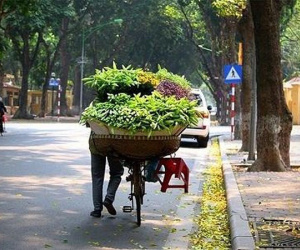 Dự báo thời tiết ngày 15/4: Miền Bắc đêm rét, ngày nắng; Miền Nam vẫn mưa dông
