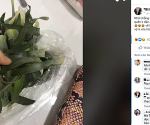 Được vợ nhờ đi mua ít lá dứa về đồ xôi, chồng trẻ hí hứng được bà bán hàng 'tặng luôn' nhưng về đến nhà mới biết được sự thật cay đắng