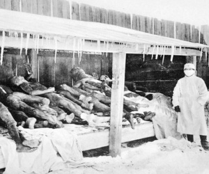 Đại dịch viêm phổi năm 1911 giết chết 60.000 người Trung Quốc