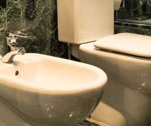 Khan hiếm giấy vệ sinh vì Covid-19, người Mỹ bắt đầu 'phát sốt' với vòi xịt