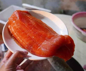 Cá hồi Sapa giá rẻ chỉ 190 ngàn đồng/kg, bà nội trợ rủ nhau mua chung thùng xốp 50kg về ăn dần