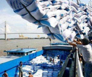 Bị bộ Tài chính nói 'không tiếp thu' trong xuất khẩu gạo, bộ Công Thương giải thích 'sợ tham nhũng'