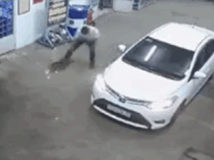 Dừng ô tô vào trạm đổ xăng, tài xế tiện tay 'trộm' luôn chú chó cảnh