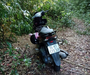 Hàng trăm người tìm kiếm hai chị em mất tích khi vào rừng hái măng