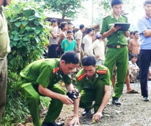 Ảnh minh họa