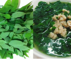 Nên dừng ăn rau ngót nếu bạn thuộc 1 trong 3 nhóm người có dấu hiệu sau đây