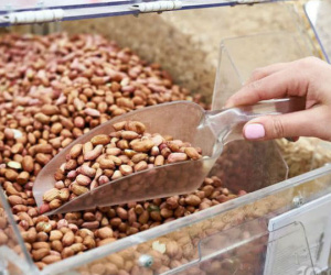 WHO công bố chất gây ung thư mới nhất, trong đó có những chất mà nhiều người vẫn đang ăn hàng ngày