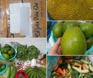 Rớt nước mắt khi nhận 'đồ tiếp tế' của phụ huynh, từ củ hành, quả ớt...chẳng thiếu thứ gì