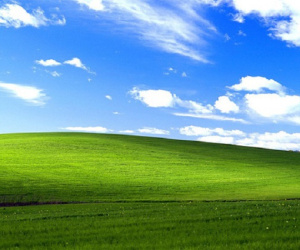 Hình nền huyền thoại trên Windows XP một thời: Được Microsoft trả hơn 100.000 USD vào năm 2000, đến nay vẫn xanh tốt như ngày nào