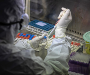 Nghiên cứu mới chỉ ra điều bất ngờ: Virus SARS-CoV-2 lây lan rộng từ cuối năm 2019