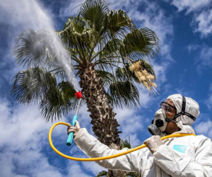 Nga: Trên 30 độ C, virus SARS-CoV-2 gần như bị vô hiệu hóa