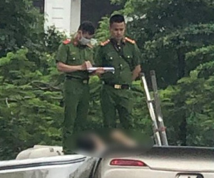 Ảnh minh họa