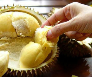 5 thực phẩm 'đại kỵ' với sầu riêng vì nếu ăn chẳng khác nào tích "chất độc" vào cơ thể