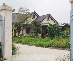 Cận cảnh biệt thự, nhà vườn trái phép 'mọc' trên đồi ở Ba Vì