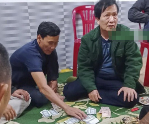 Ảnh minh họa