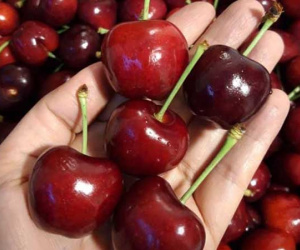 Tăng giá gấp 4, loại quả Mỹ vẫn đắt khách giàu Việt Nam