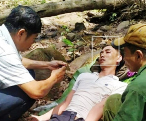 Bị ong đốt nguy kịch khi cùng bố vợ vào rừng lấy mật