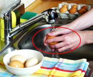 Cả nhà hôn mê sâu sau bữa cơm tối, bác sĩ chỉ ra nguyên do đến từ một sai lầm khi bảo quản trứng nhiều bà nội trợ mắc phải