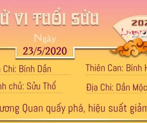 Tử vi thứ 7 ngày 23/05/2020 của 12 con giáp: Tý công việc suôn sẻ, Tị đề phòng tiểu nhân