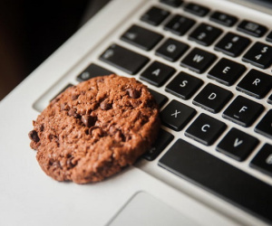 Cookies của trình duyệt là gì và tại sao bạn không nên xóa chúng?
