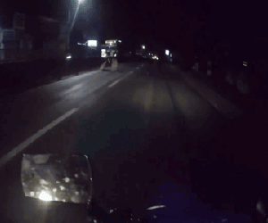 Video: Dựng xe rồi quỳ gối giữa đường, người đàn ông bị container đâm kinh hoàng